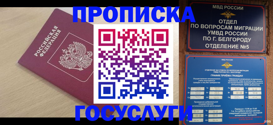 прописка законно в Светлом